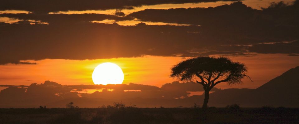 Visita la cuna de los atardeceres: los Llanos Orientales Hoteles Colsubsidio Visita la cuna de los atardeceres: los Llanos Orientales Hoteles Colsubsidio