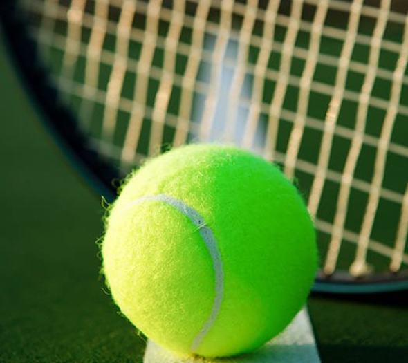 Cancha de mini-tenis Hotel Peñalisa Girardot