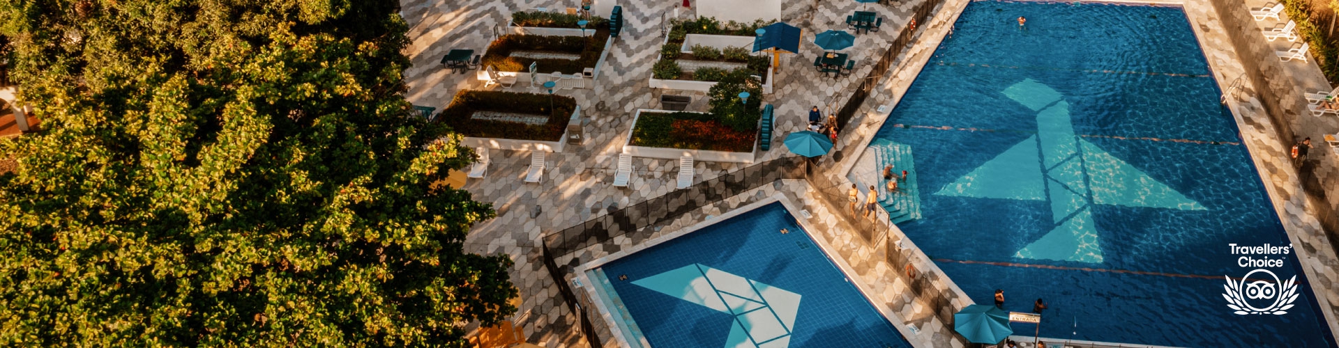 Nos han otorgado el premio de excelencia y el premio a lo mejor de lo mejor en los Traveler's Choice ¡Hemos sido galardonados por TripAdvisor!