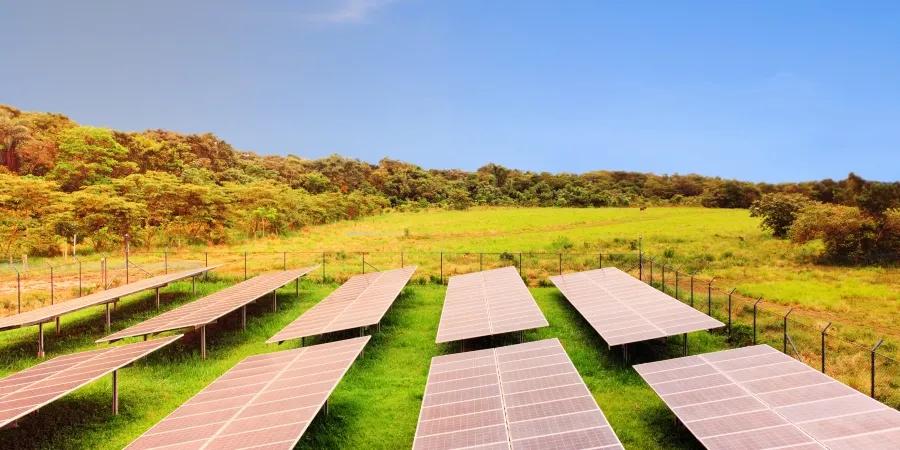 Granja solar Hotel Alcaraván Llanos Orientales Granja solar Hotel Alcaraván Llanos Orientales