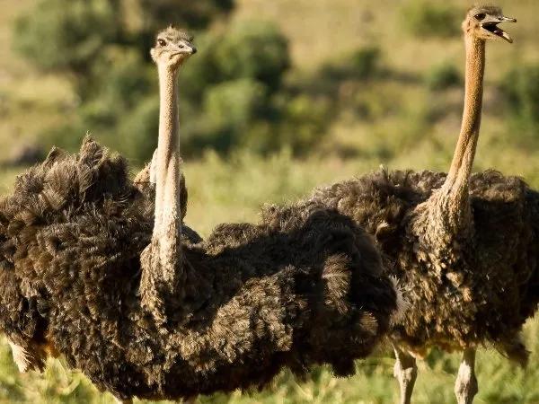 Parque los Ocarros Hoteles Colsubsidio Parque los Ocarros Hoteles Colsubsidio