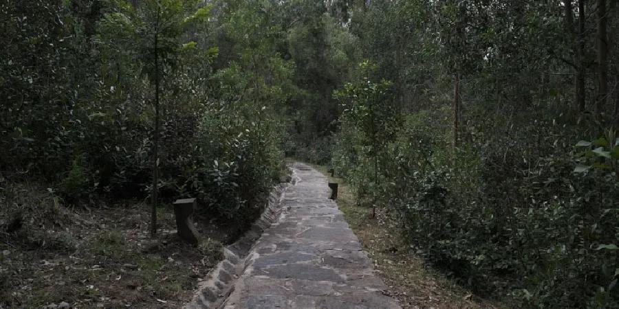 Sendero Cantú Glamping y Cabañas Paipa Sendero Cantú Glamping y Cabañas Paipa