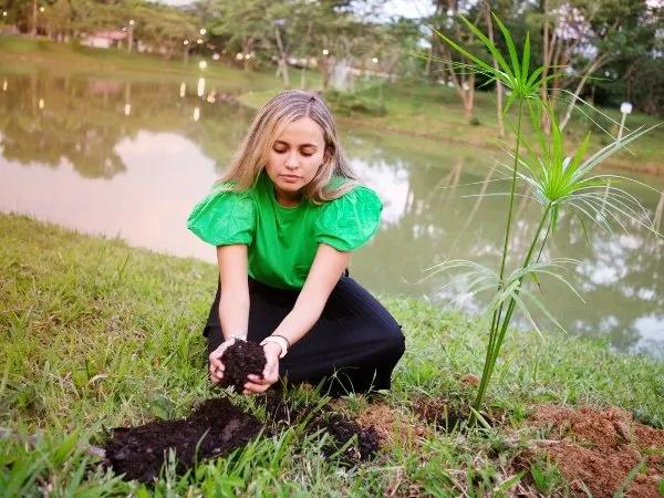 Siembra de árboles Hoteles Colsubsidio Siembra de árboles Hoteles Colsubsidio