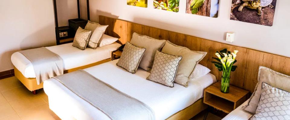 Hotel Alcaraván se renueva para ti I Hoteles Colsubsidio Hoteles Colsubsidio Hotel Alcaraván se renueva para ti I Hoteles Colsubsidio Hoteles Colsubsidio