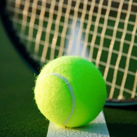 Cancha de mini-padel Hotel Peñalisa Girardot Cancha de mini-padel Hotel Peñalisa Girardot