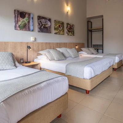 Habitación Estándar Hoteles Colsubsidio Habitación Estándar Hoteles Colsubsidio