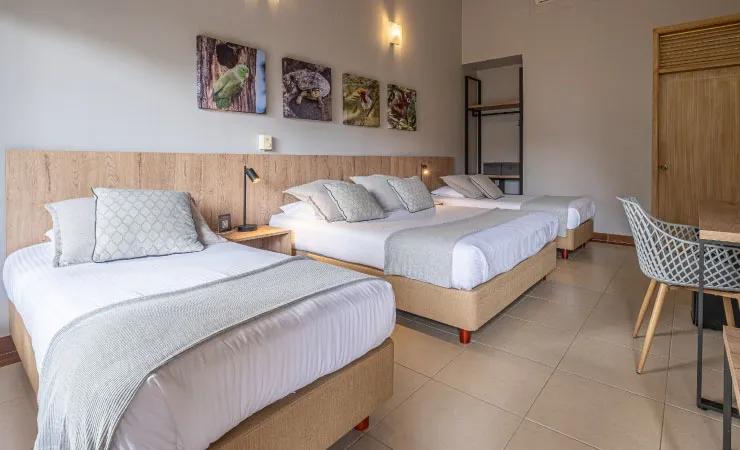 Habitación Estándar Hotel Alcaraván Llanos Orientales Habitación Estándar Hotel Alcaraván Llanos Orientales