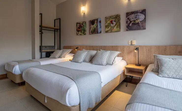 Habitación Junior Suite Hotel Alcaraván Llanos Orientales Habitación Junior Suite Hotel Alcaraván Llanos Orientales