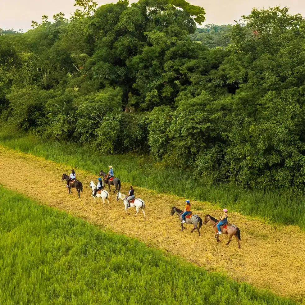 Hoteles Colsubsidio Hoteles Colsubsidio