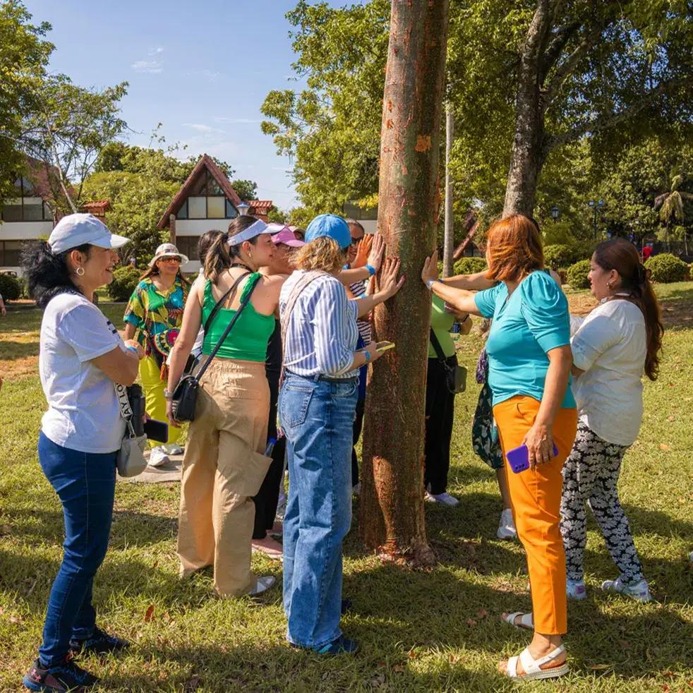 Hoteles Colsubsidio Hoteles Colsubsidio