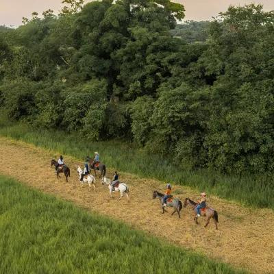 Hoteles Colsubsidio Hoteles Colsubsidio