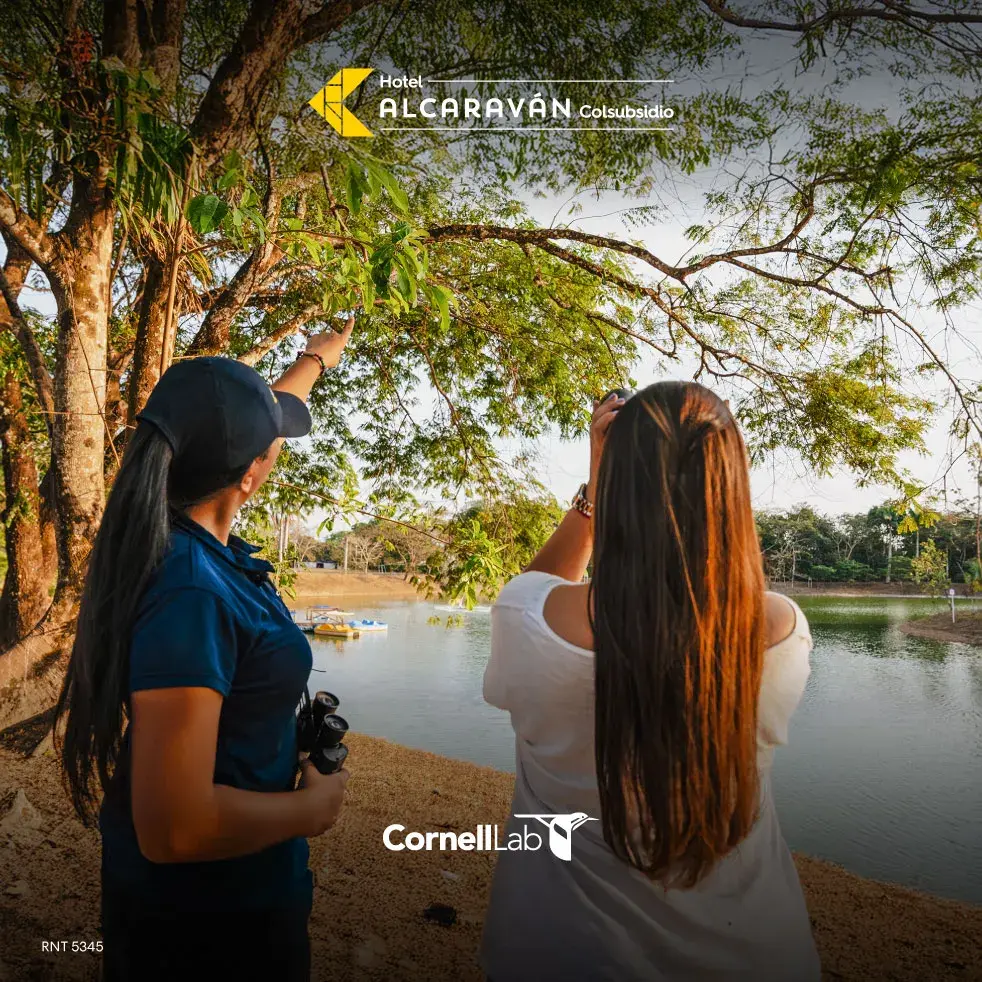 Premios Global Hotel Alcaravan